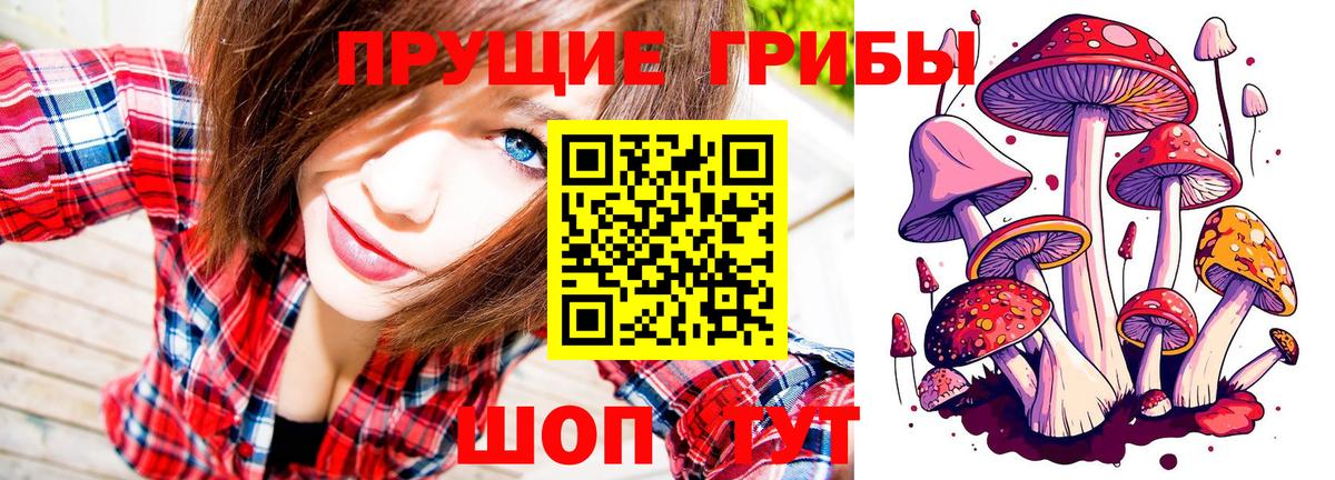 Галлюциногенные грибы мицелий Петрозаводск