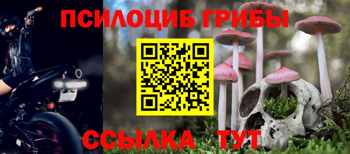 Галлюциногенные грибы мицелий  Галлюциногенные грибы мухоморы  наркота  Вход с VPN  Петрозаводск 